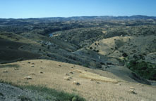 Middle Atlas