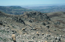 Observation Site