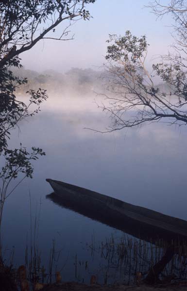 Misty river
