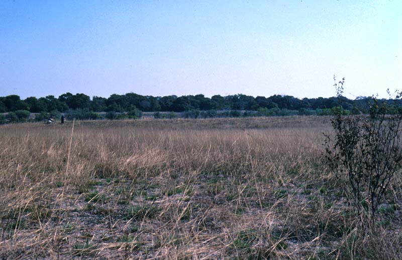 View towards the Zambezi river