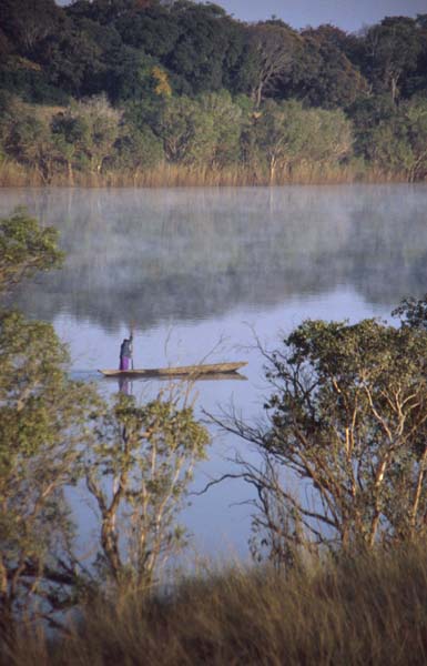 Zambezi _boatman