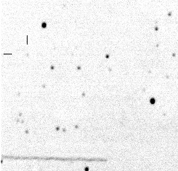Pluto 1